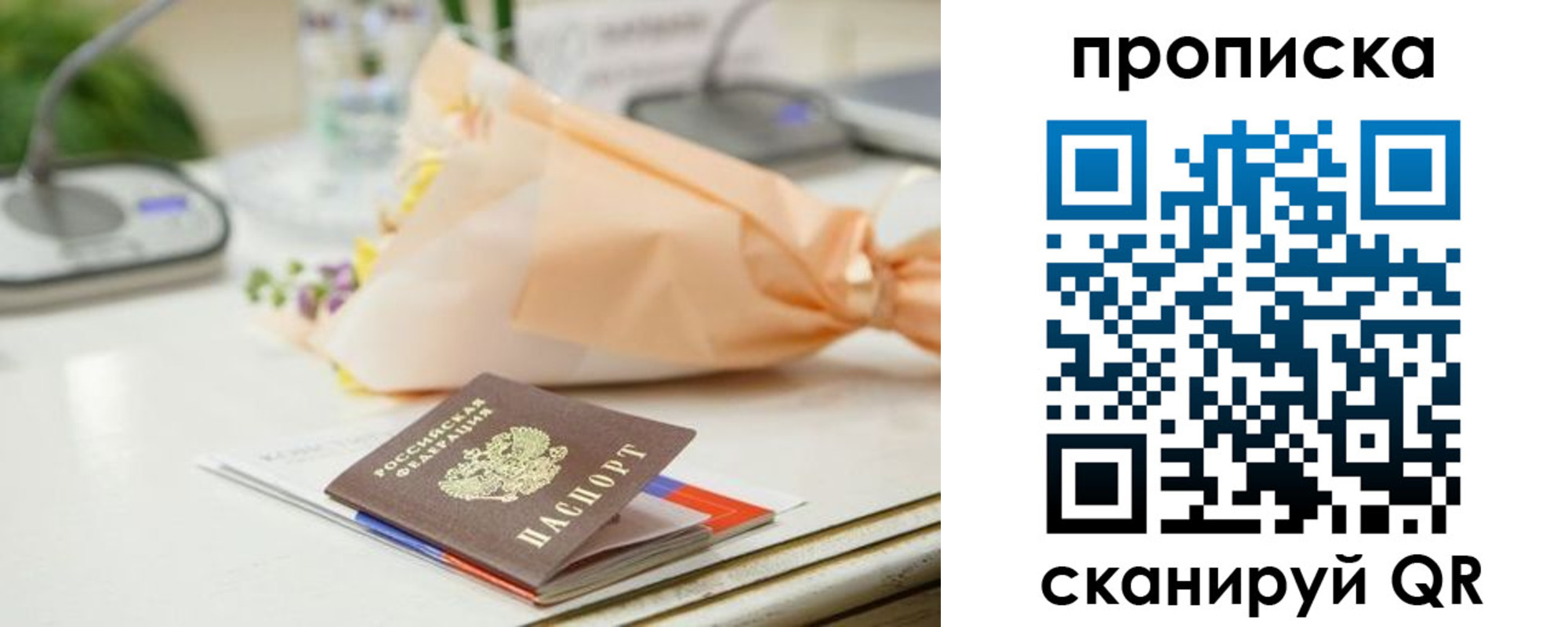 прописка гарантия в Касимове